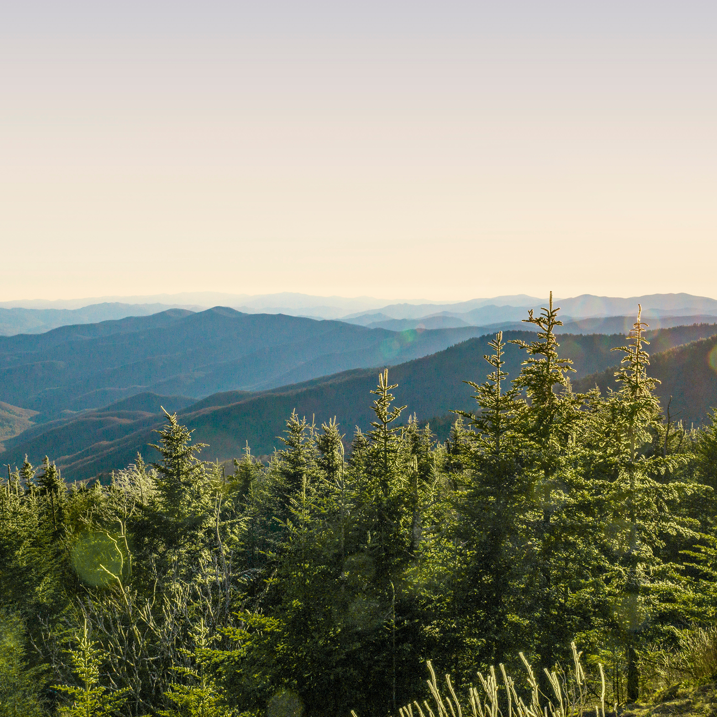 SmokyMountainsDec2025